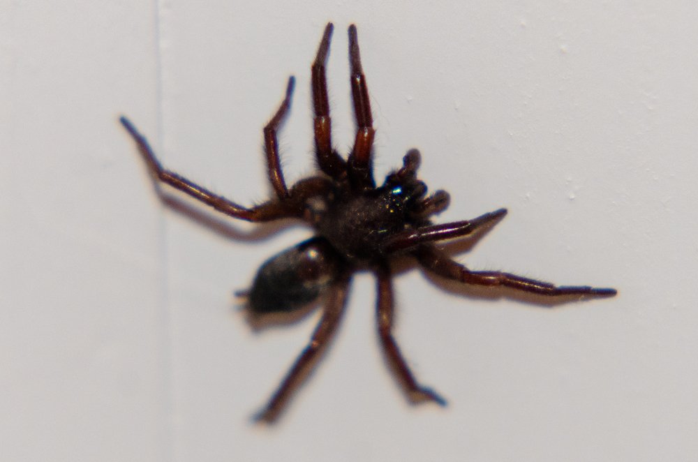 Фотография автора Muhammad Haris