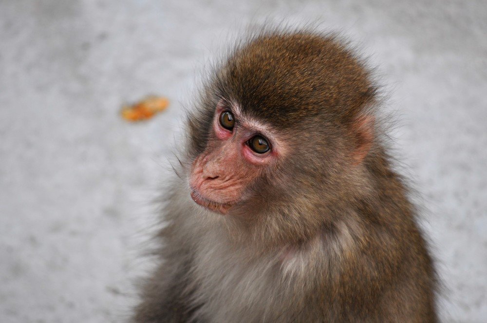 Photograph by Алёна Сокольникова