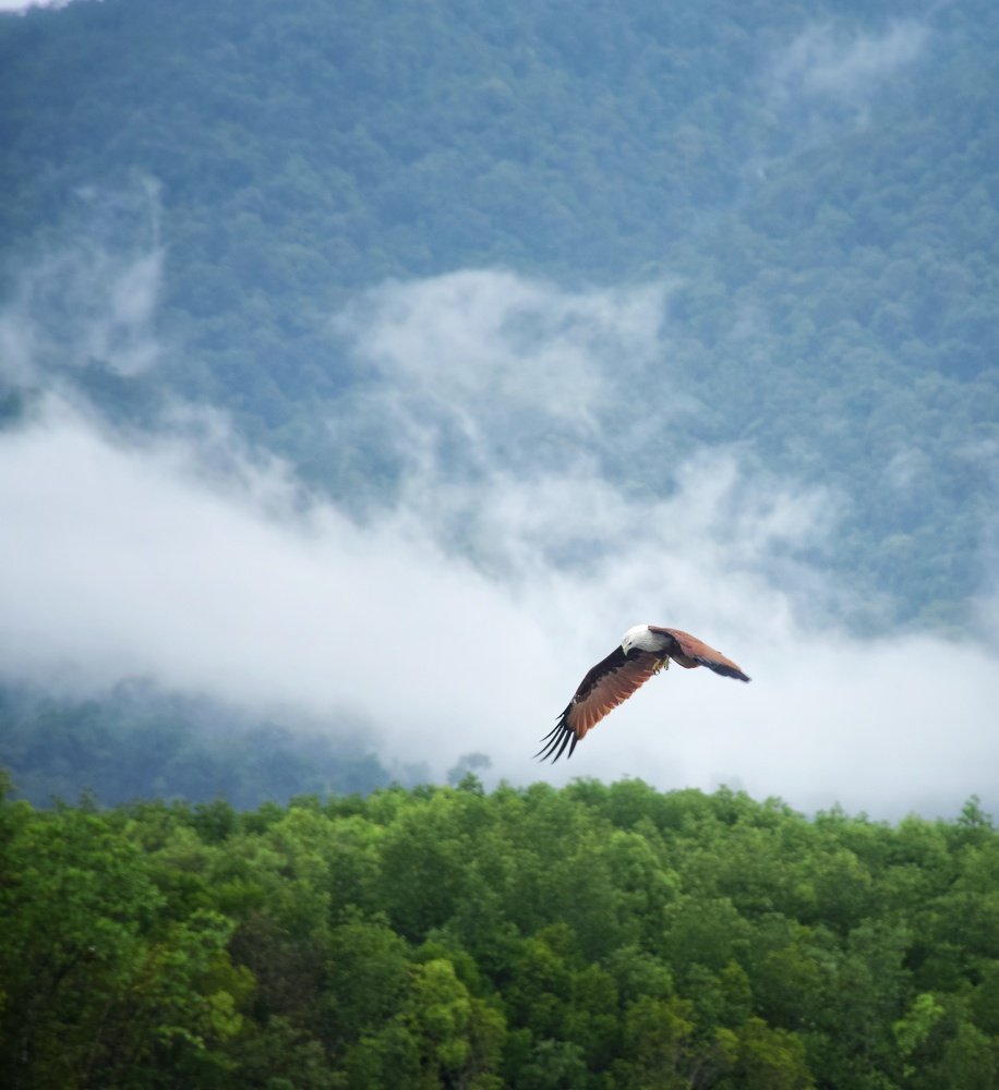 Photograph by Saeed Bin Hossain