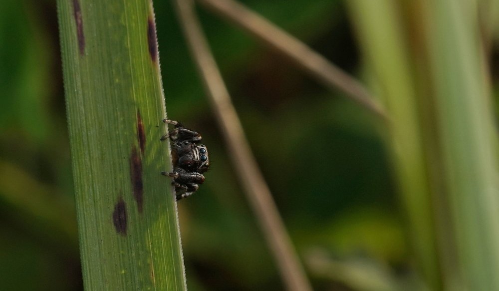 Photograph by Андрей Шартов