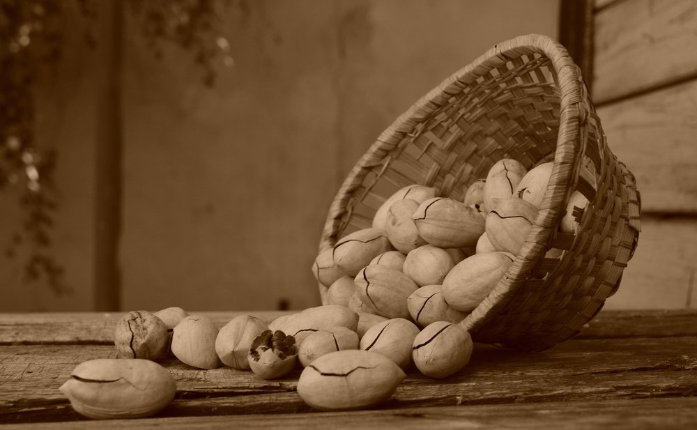 Photograph by Татьяна Прохоренко