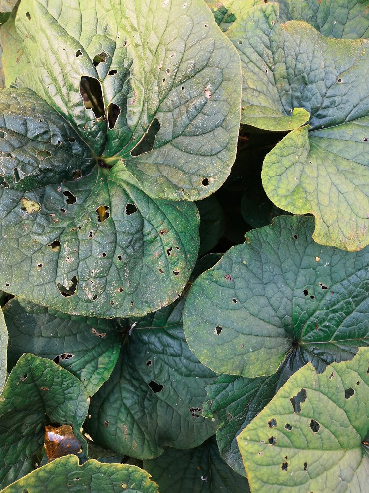 Photograph by Ольга Усманова