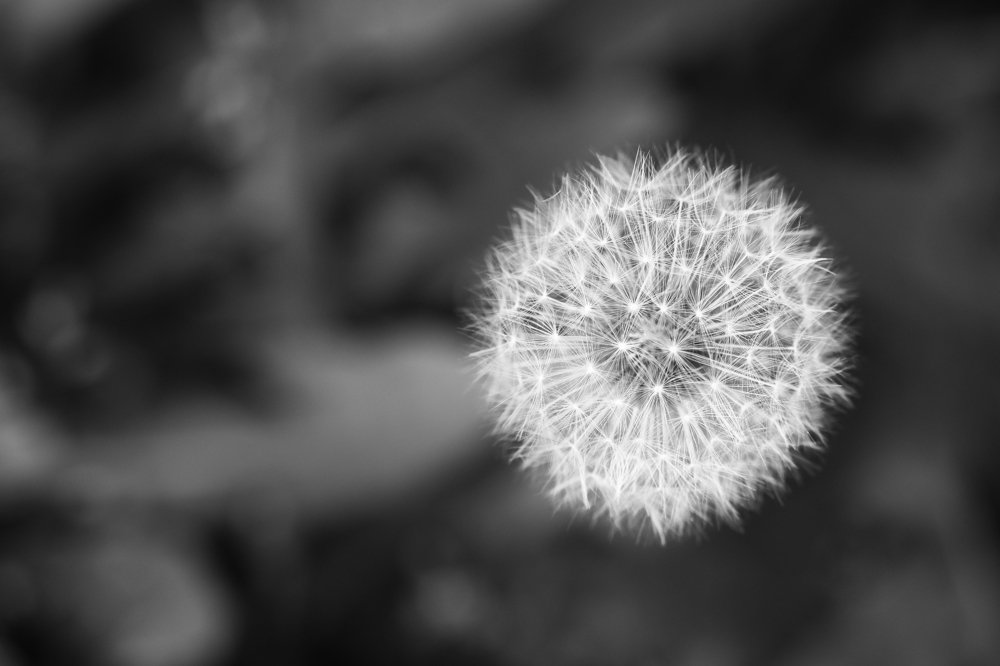 Photograph by Мария Мамонтова