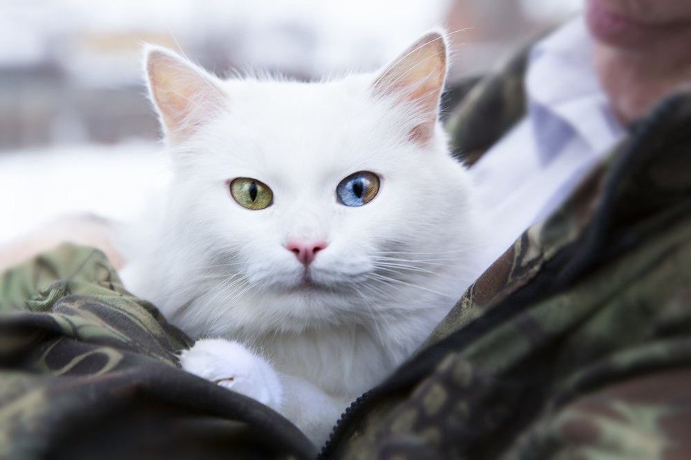 Зеркало души.