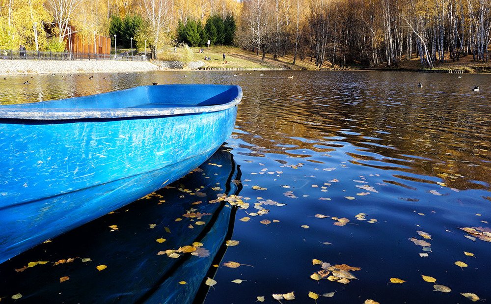 Photograph by Корженевская Лариса Анатольевна