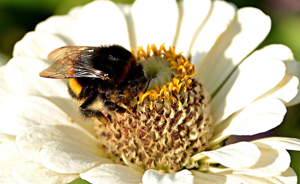 Photograph by Алексей Епишин