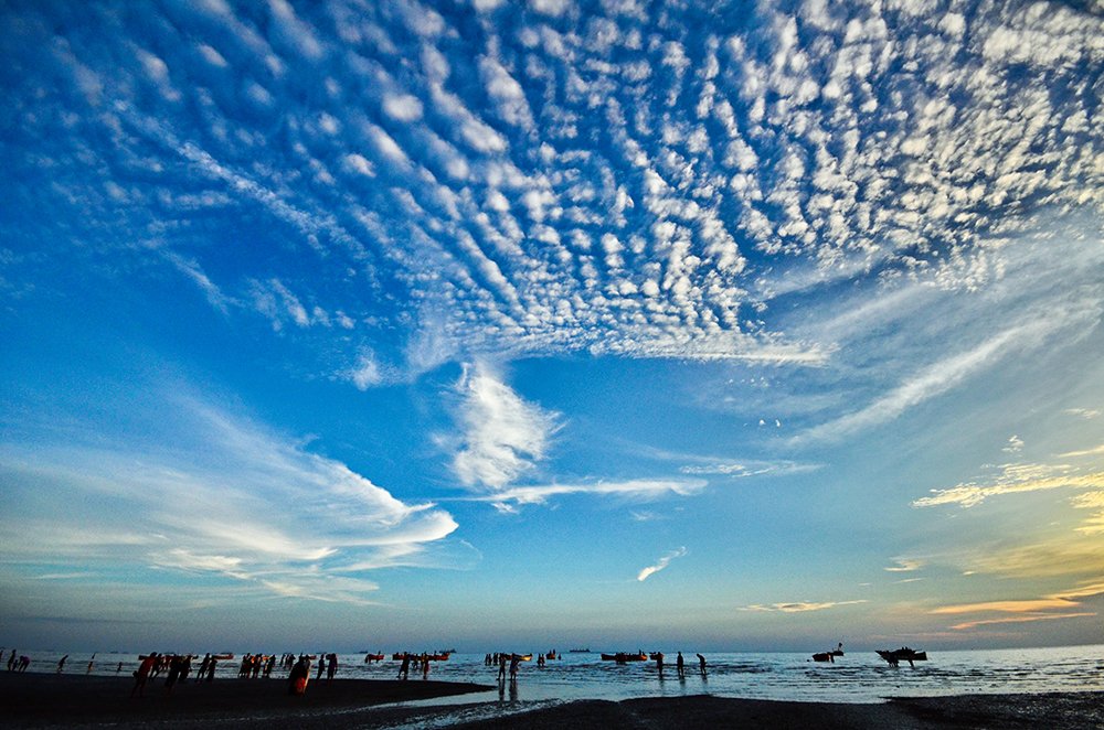 Photograph by  MD DIDARUL ALAM CHY