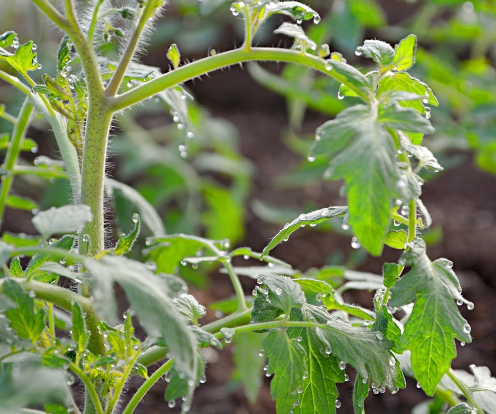 Photograph by Алексей Епишин