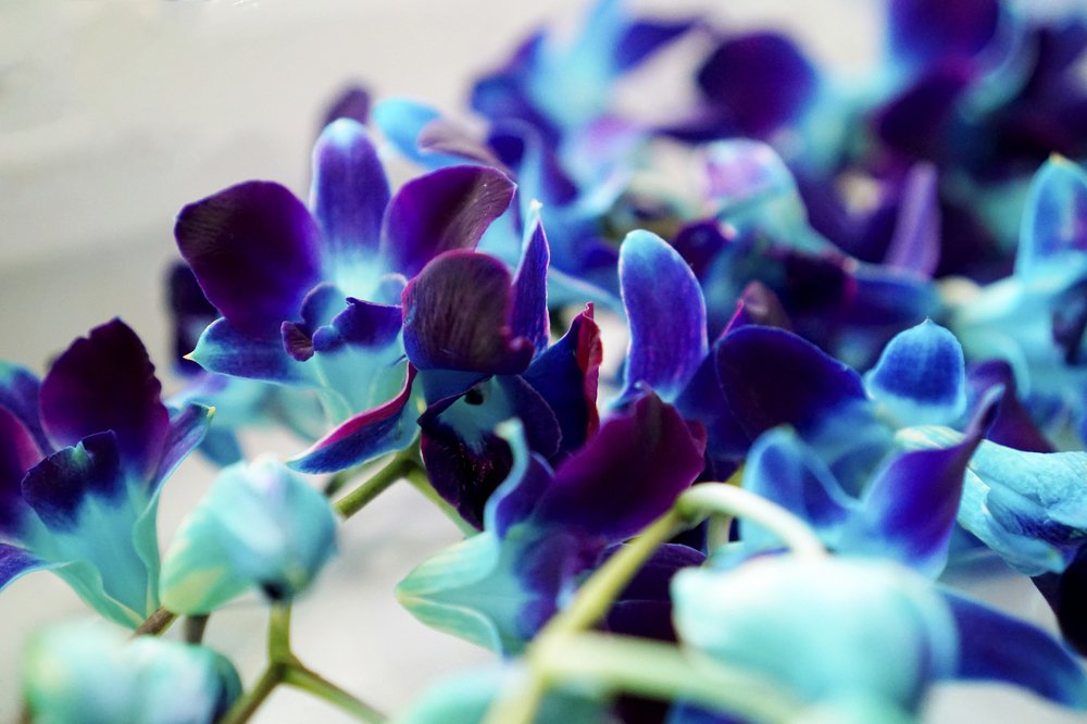 Photograph by Наталия Яковлева