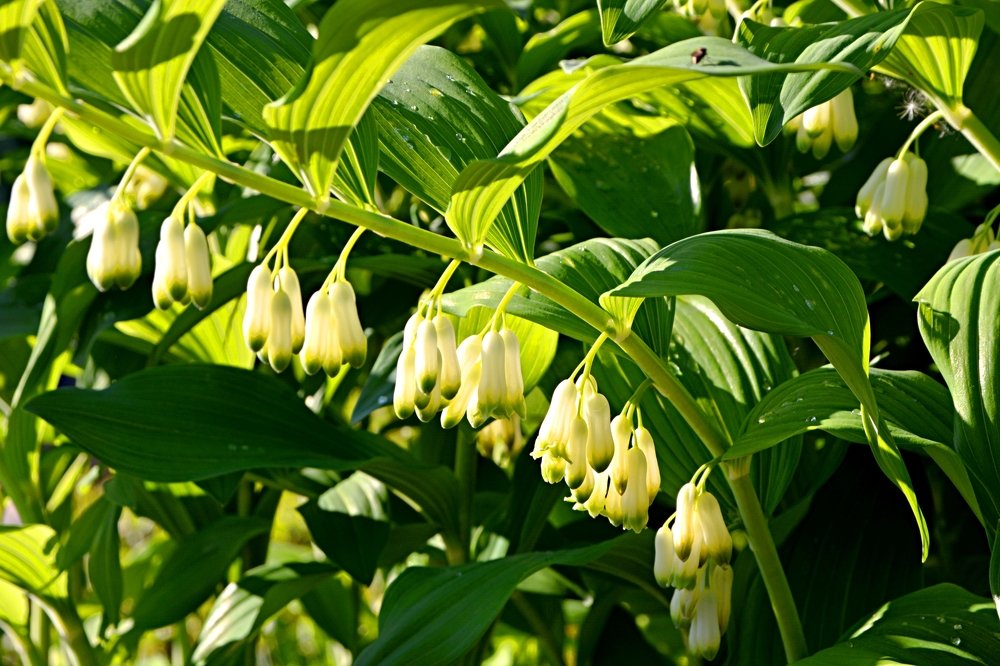 Photograph by Алексей Епишин