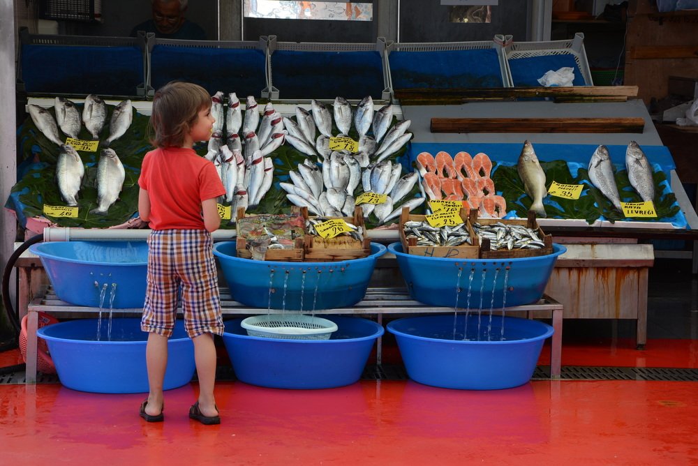 Balıkçının yanındaki çocuk