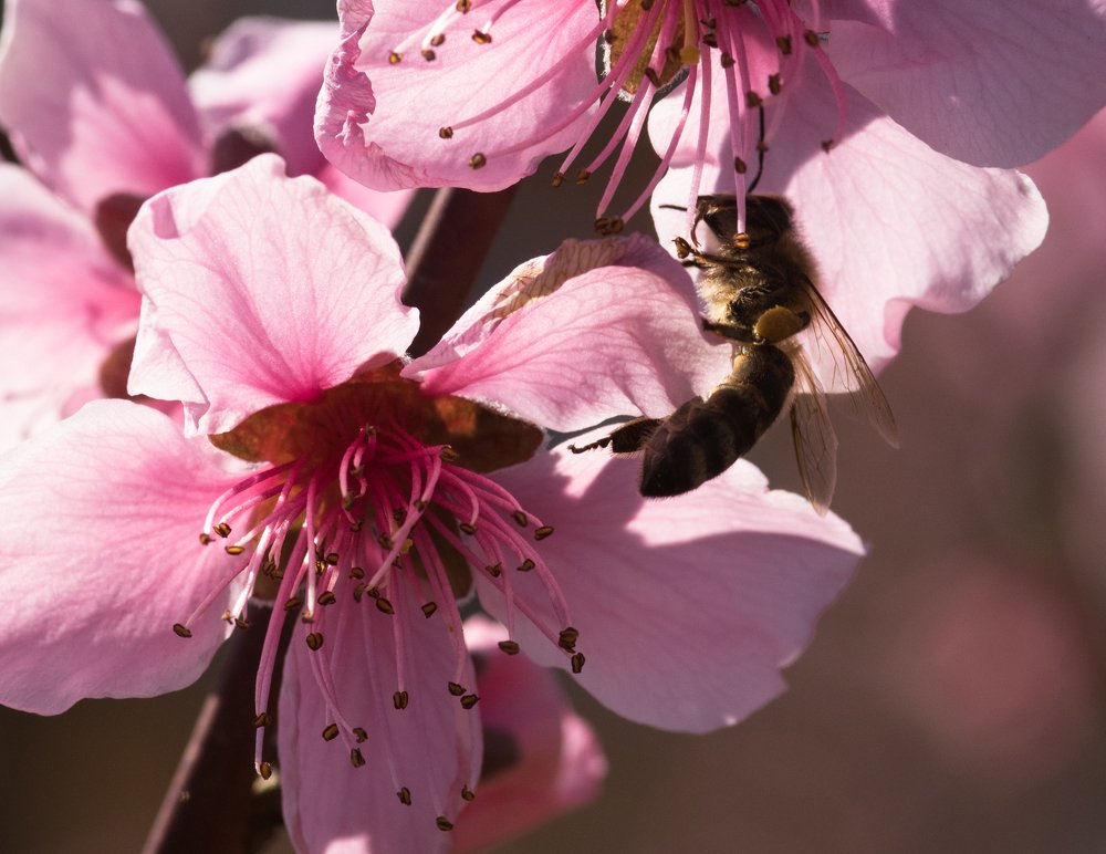 Photograph by Епишенкова Ксения