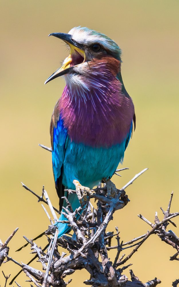 Photograph by Vignesh Ramachandran