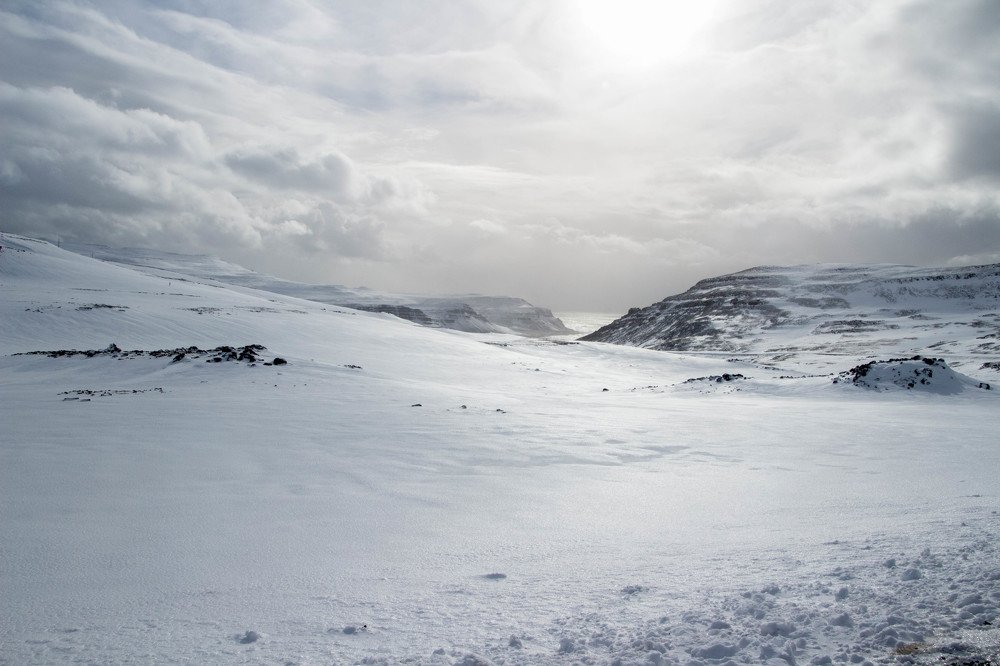 Photograph by Susanne Larsen