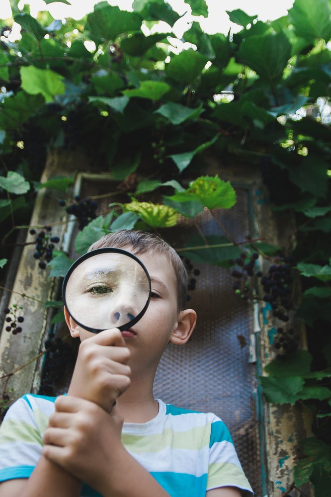 Взгляд на мир