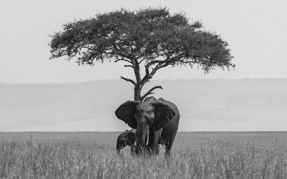 Photograph by Vignesh Ramachandran