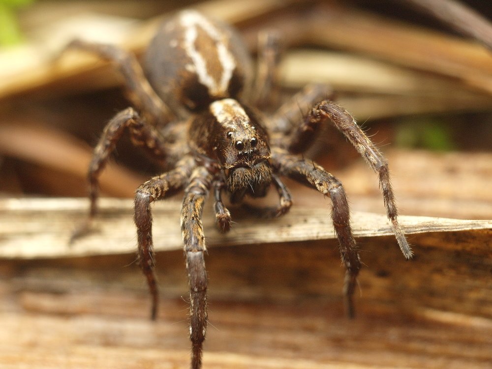 Круговой обзор / all-round view