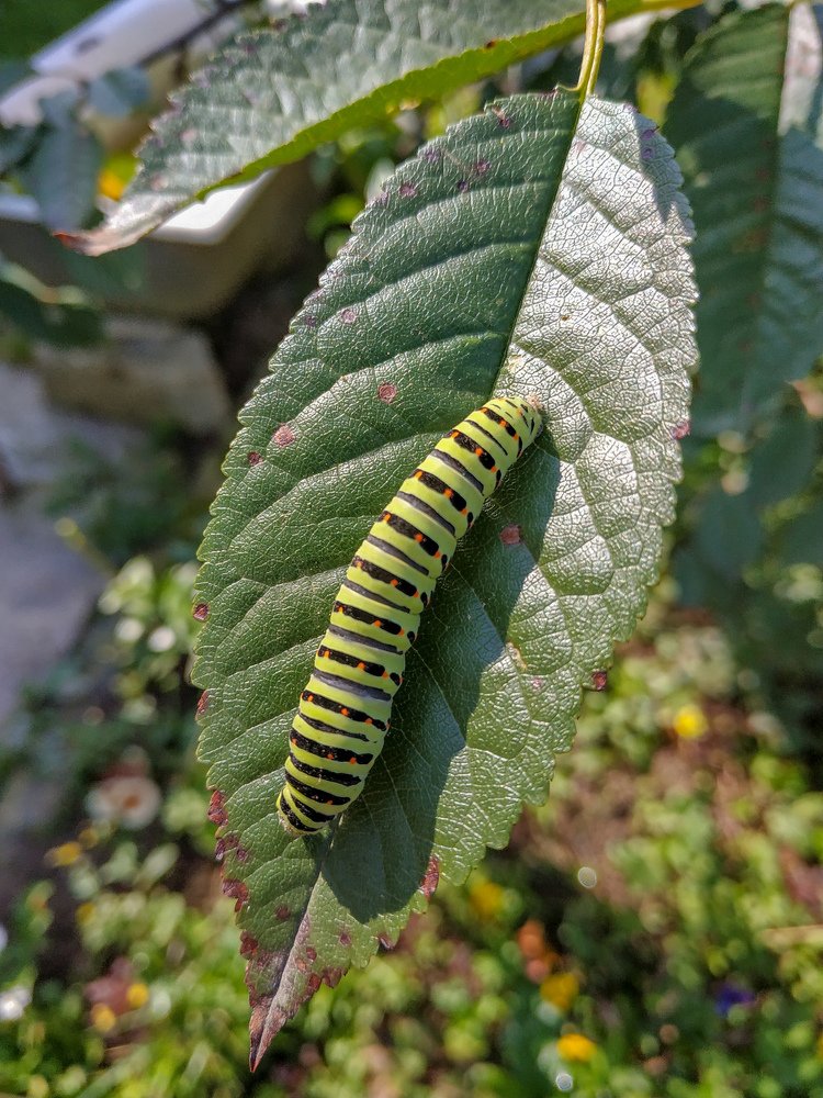 Photograph by Павел Агеев