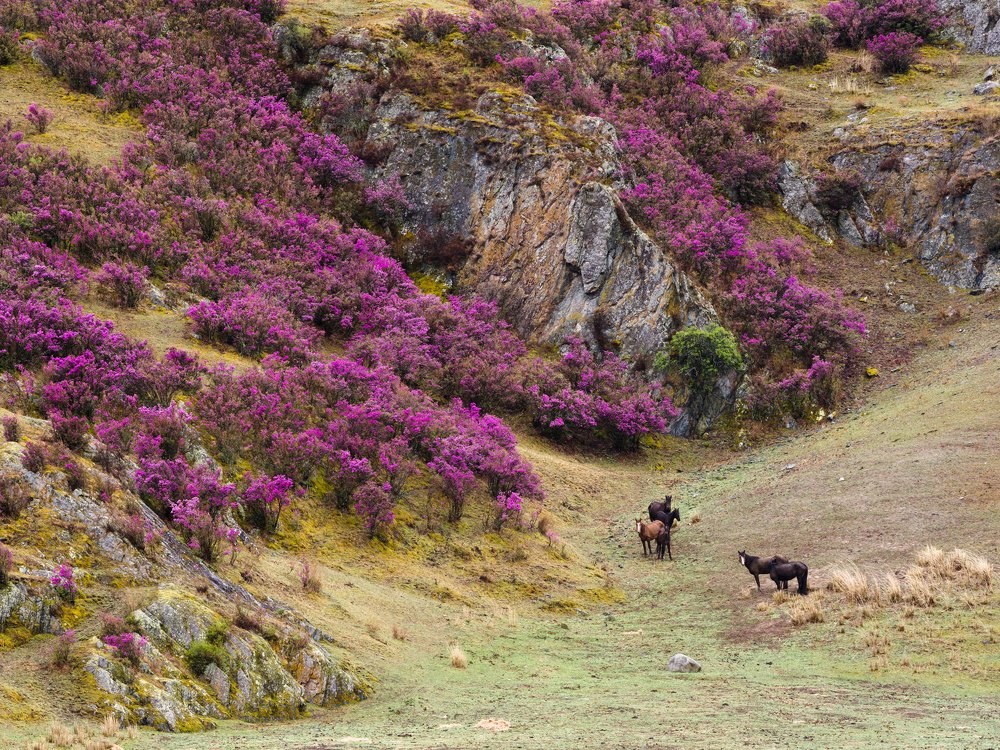 Photograph by Епишенкова Ксения