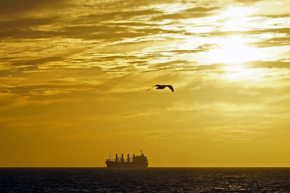 В дальний путь