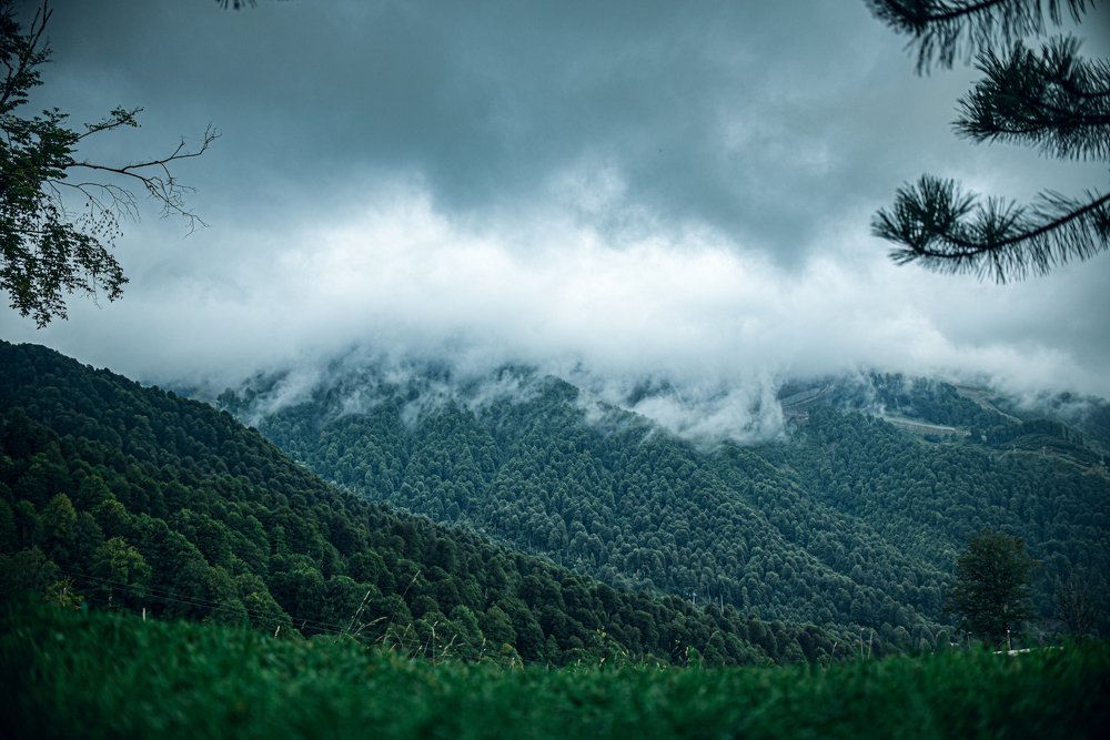 Photograph by Жемчугова Юлия