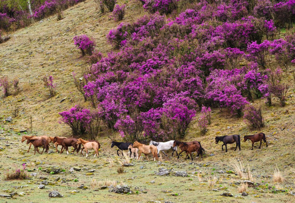 Photograph by Епишенкова Ксения