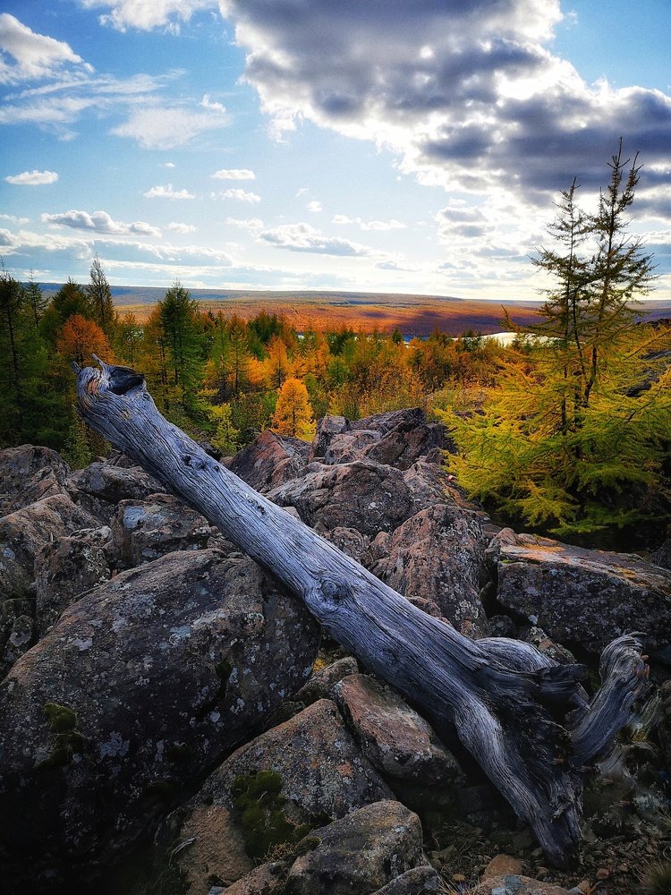 Photograph by Денис Саперов