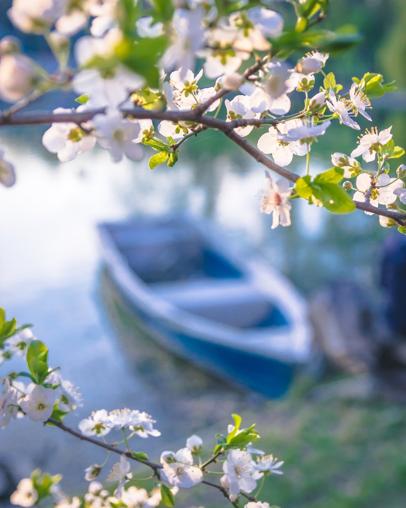 Photograph by Ana Grozea