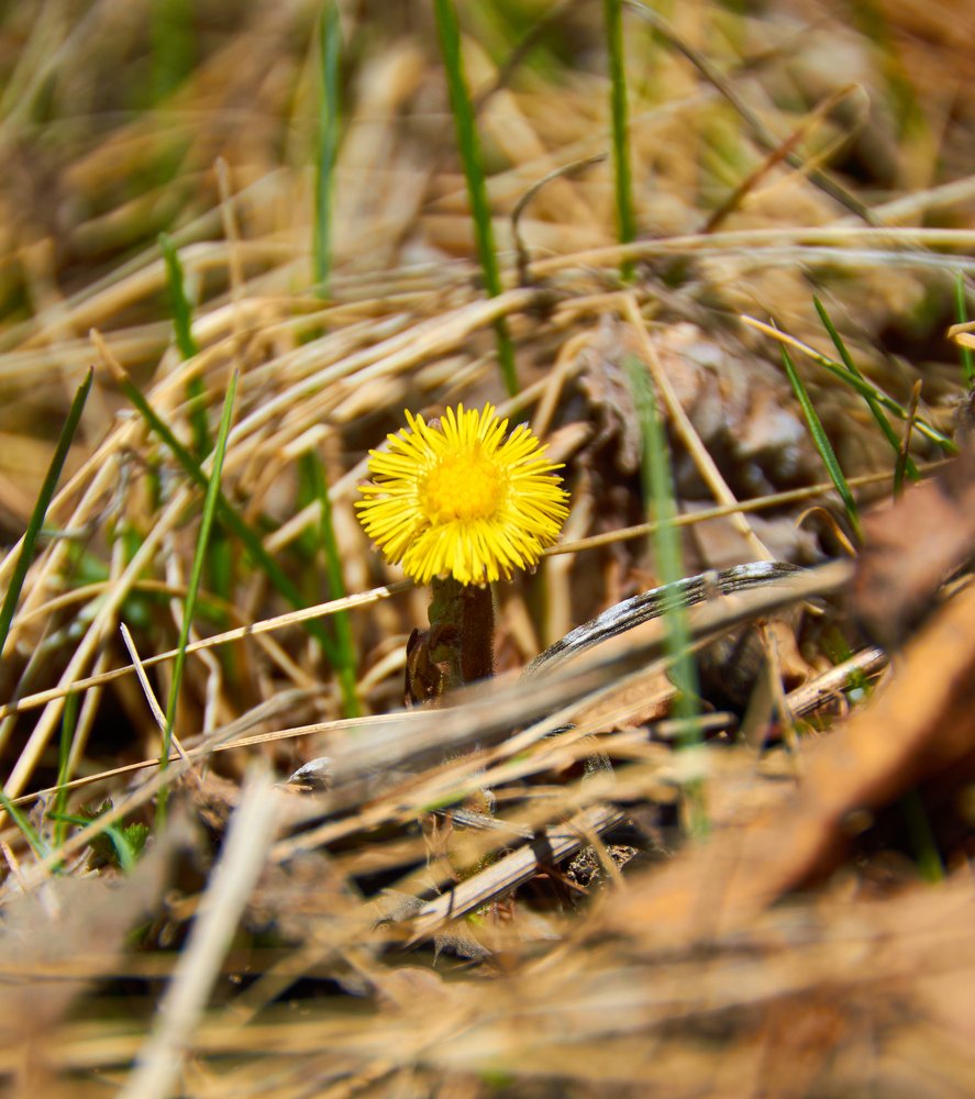 Photograph by Камиль Ахметшин
