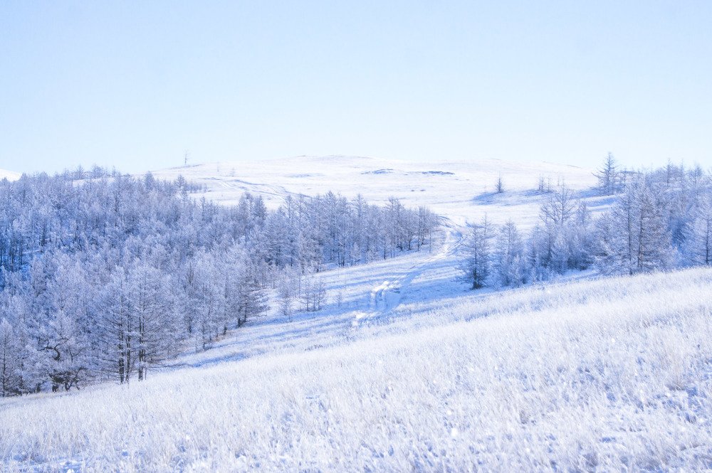 Photograph by Бадаев Антон