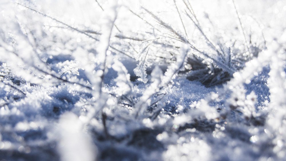 Photograph by Бадаев Антон