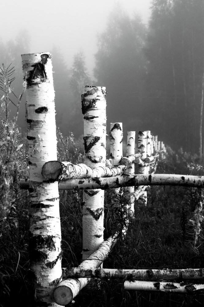 Photograph by Michael Sumerin