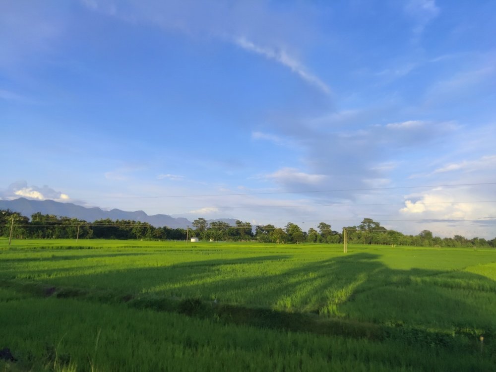 Photograph by Kushal Sharma