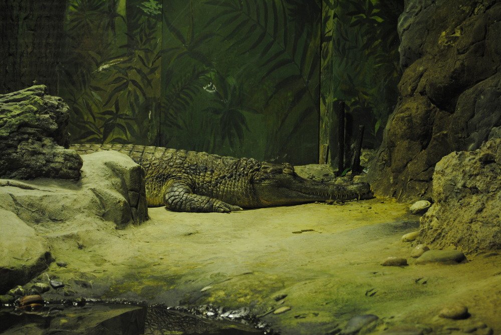 Photograph by Виктория