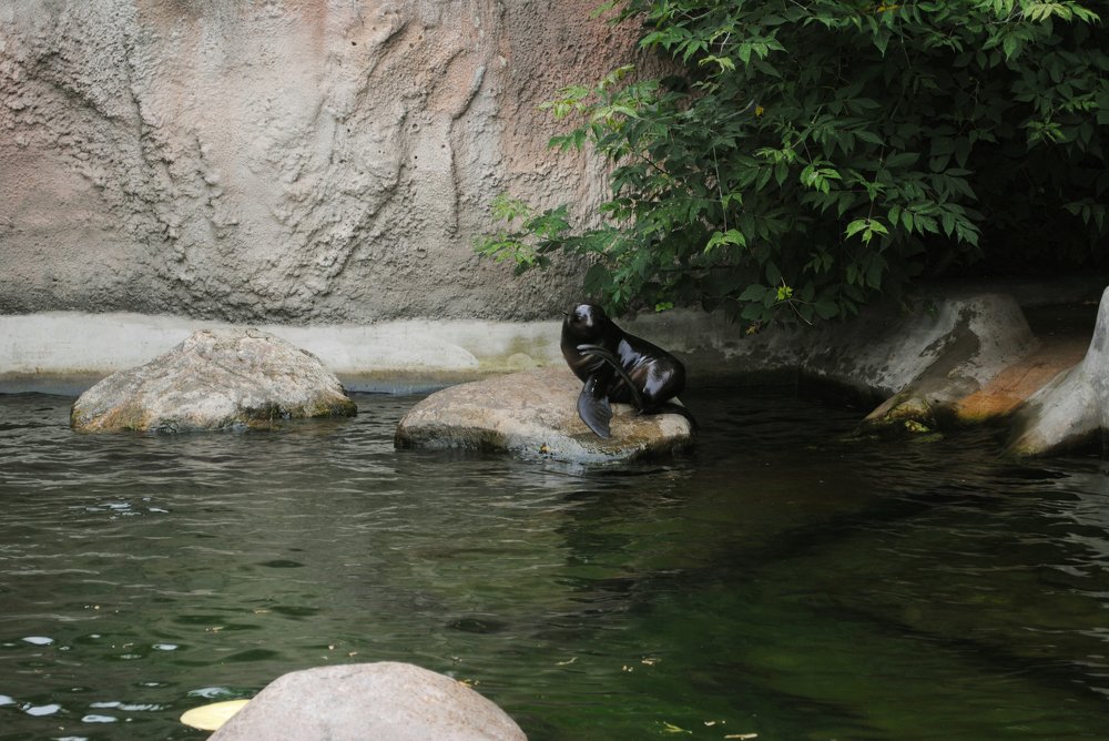 Photograph by Виктория