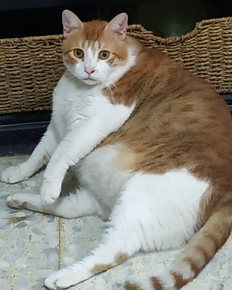 Photograph by Galina Rashap