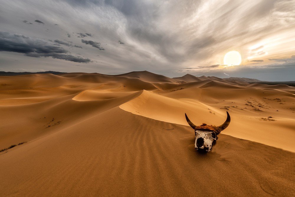 Вечер в пустыне Гоби. Монголия