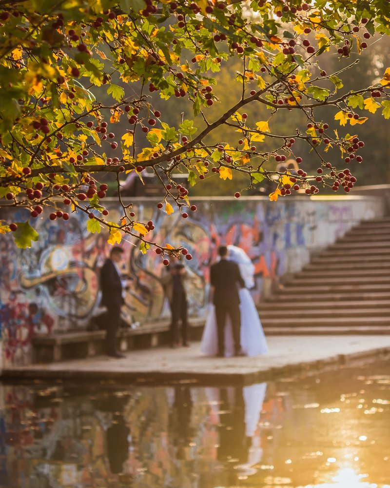 Photograph by Ana Grozea