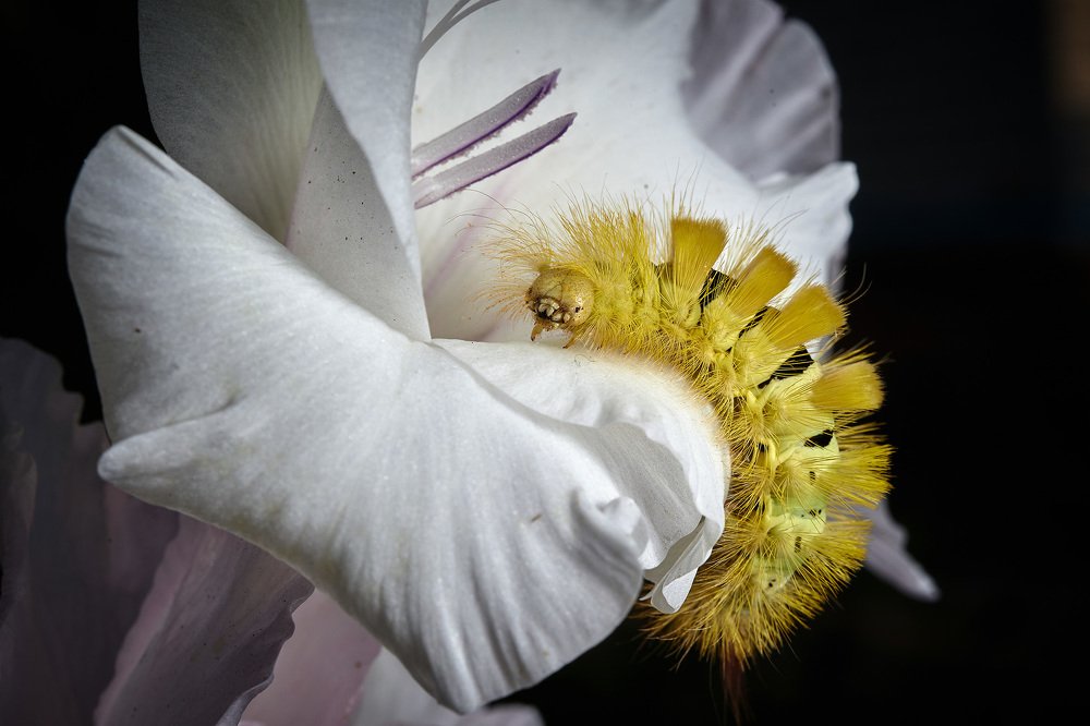 Photograph by Константин Усов