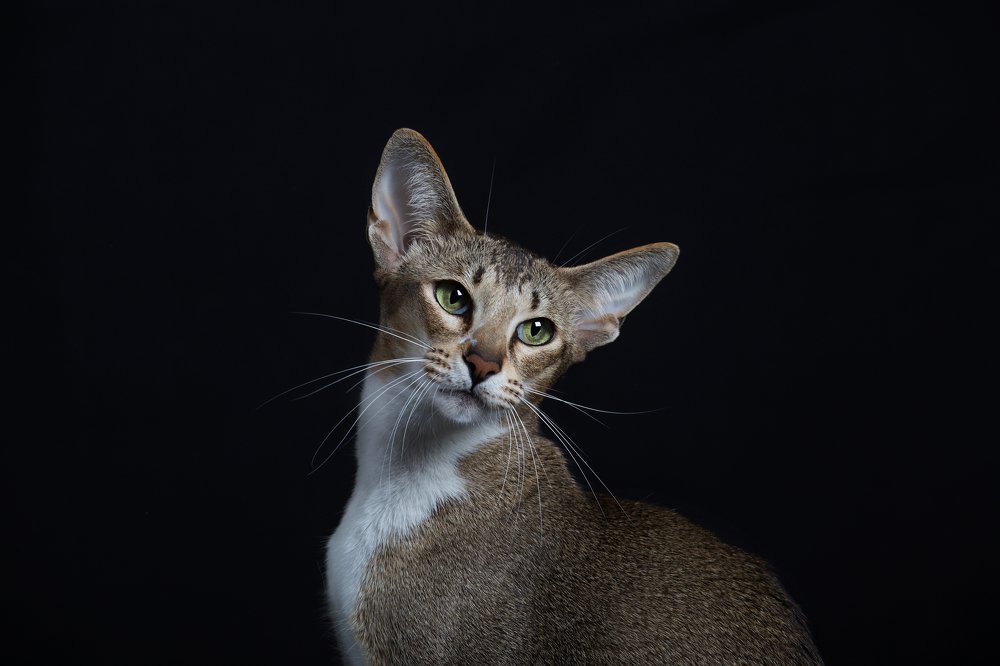 Photograph by Дмитрий Карманов