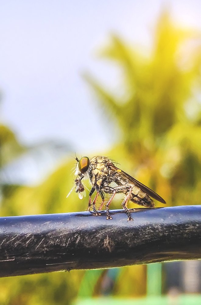 Photograph by  khan avi