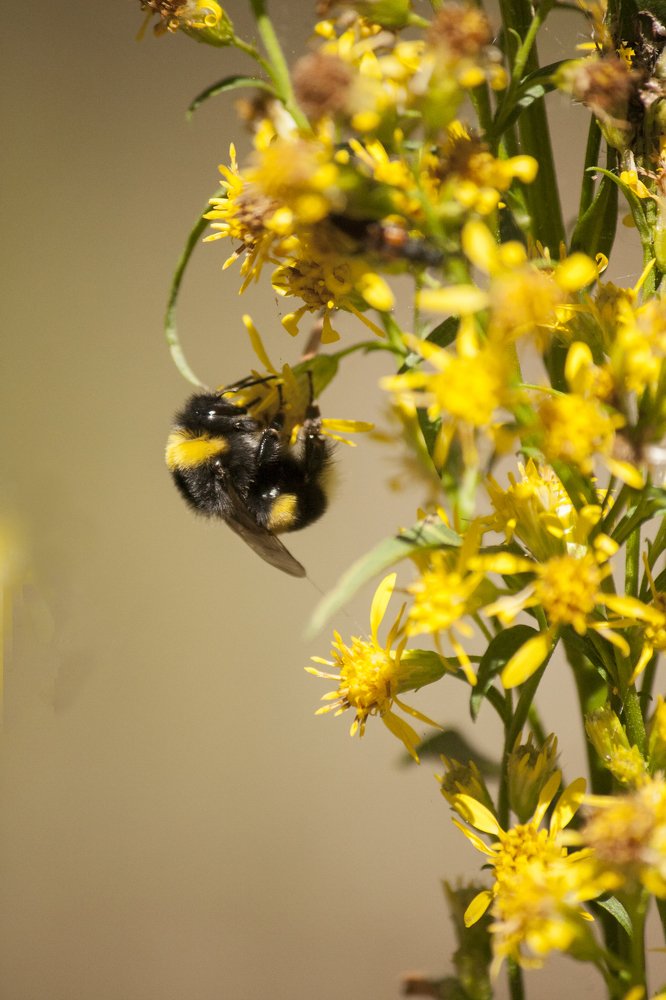 Photograph by Александра Савельева