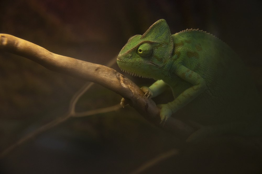 Точка зрения