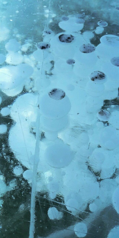 Photograph by Ирина Корнева