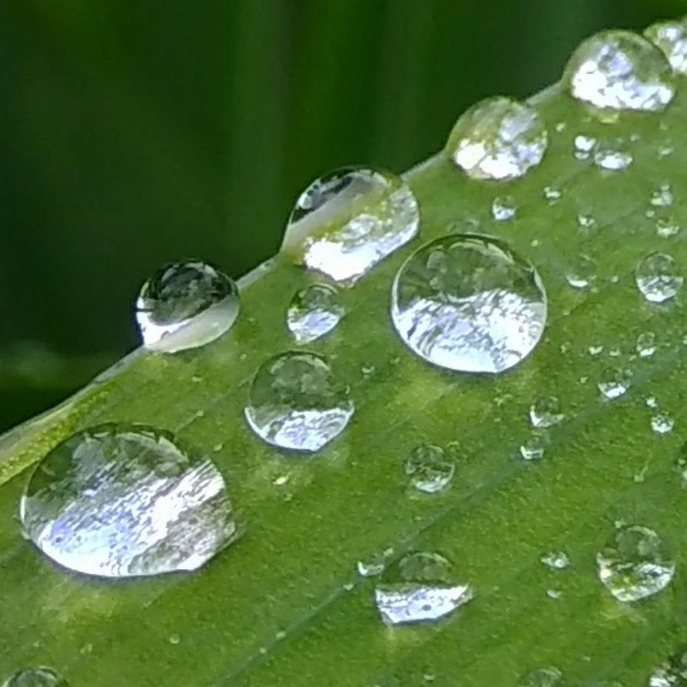 Photograph by Максим Сурнин