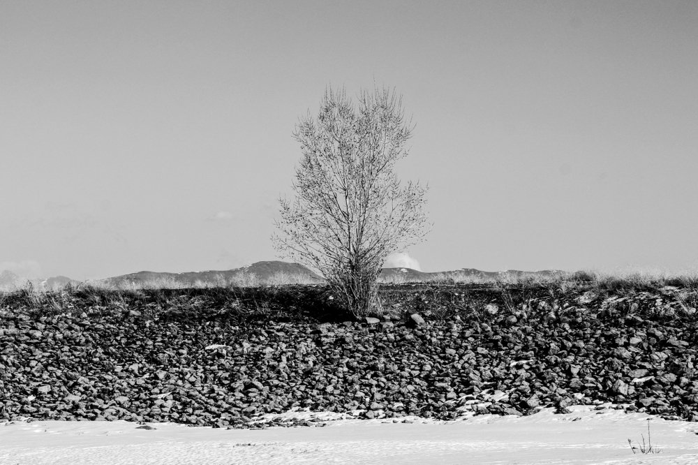 Photograph by Forough Ashkanian