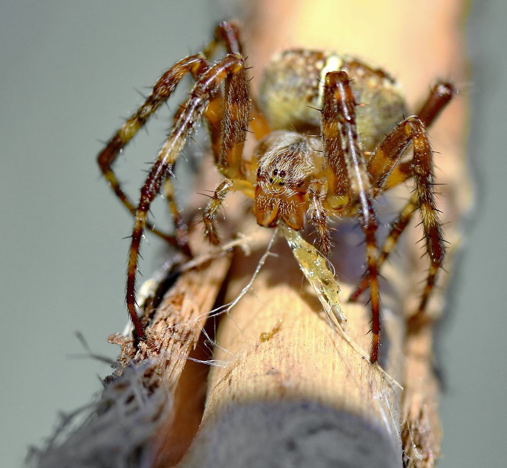 Photograph by Игорь Осипов