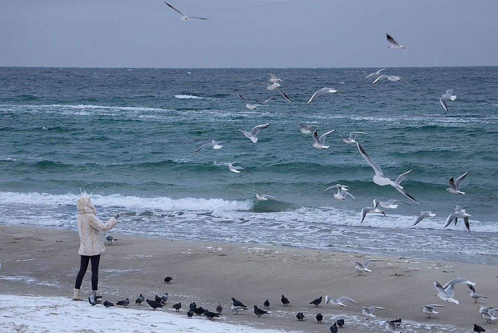 зимнее чёрное