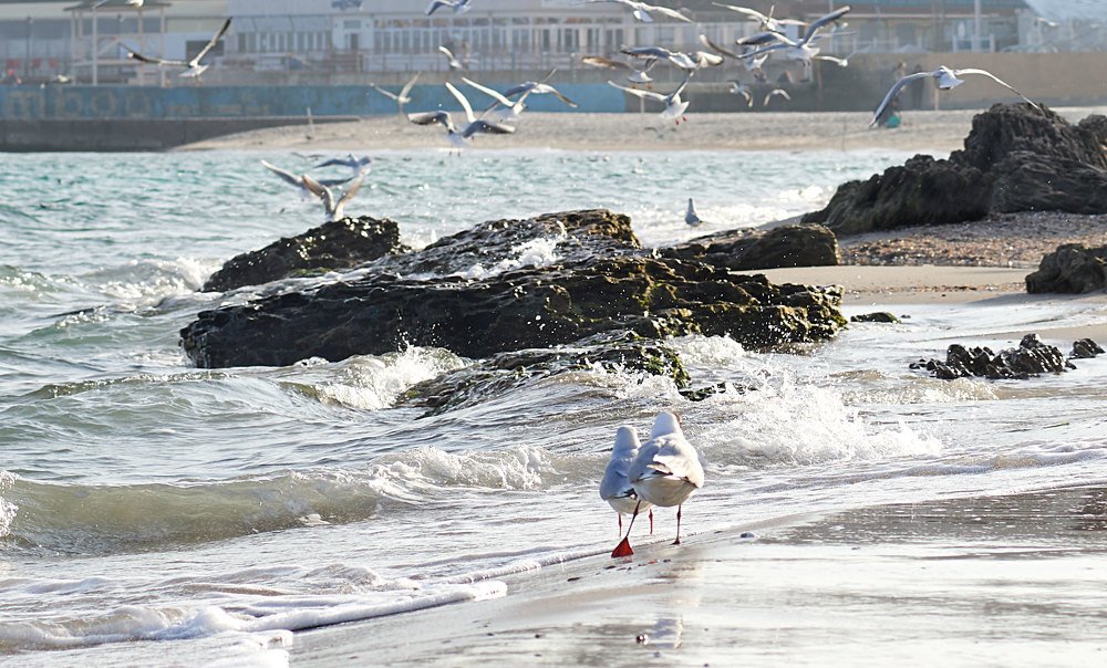 да, мы важные...