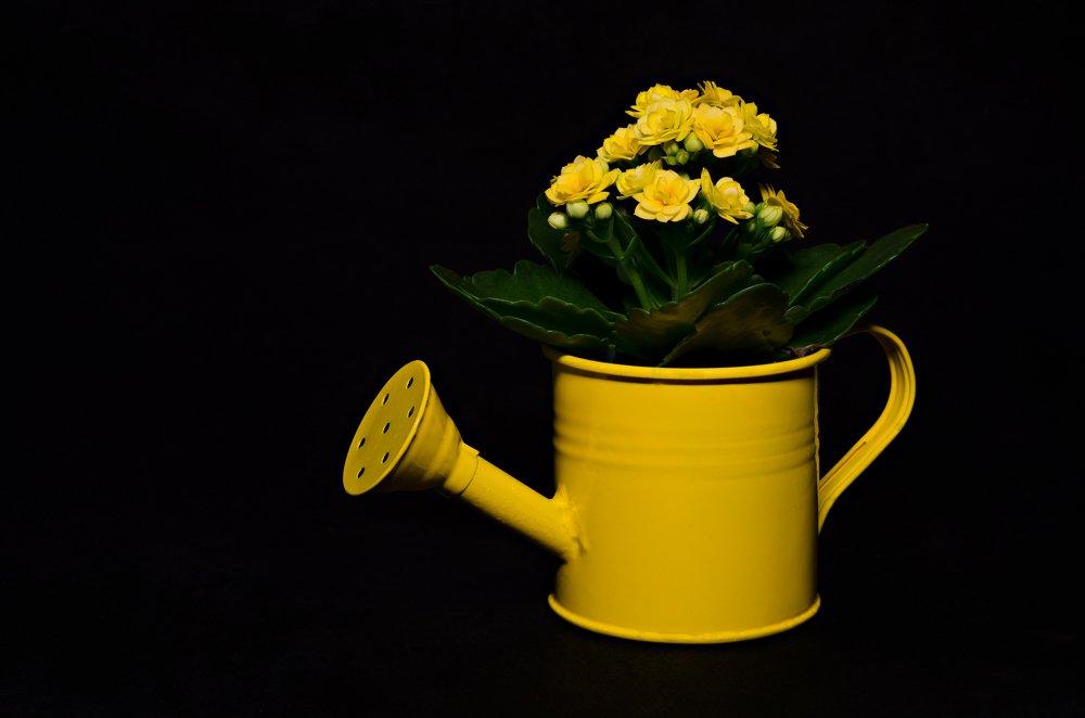 Photograph by Luca Arsinel